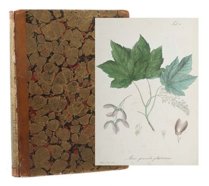 Krebs, Friedrich Ludwig : Description complète et 