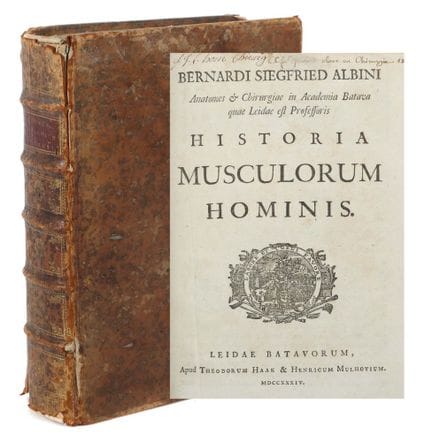 Albini, Bernardi Siegfried, *Historia musculorum h