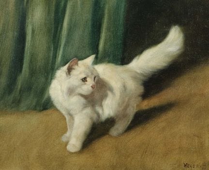 Heyer, Arthur Haarhausen 1872 - 1931 Budapest, è s