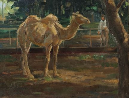 埃里希·泽耶（Zeyer, Erich），1903年出生于斯图加特，1960年逝世，是一位德国动物与