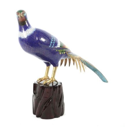Magnificent pheasant from China, mid-20th century,