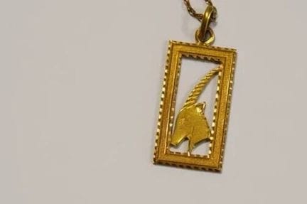 Cadena y colgante de oro amarillo (18 quilates, 75