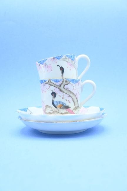 Dos tazas y sus platillos de porcelana con motivos