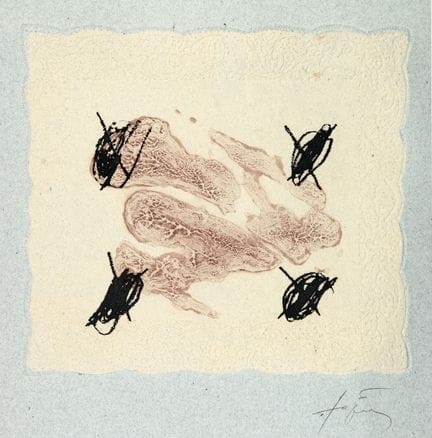 Antoni Tàpies - Octavio Paz. Petrificada Petrifica