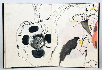 罗伯特·库什纳。《罂粟花与假橙花》。四幅双页大小的水墨画，部分施以水彩。 1990年。33 × 25