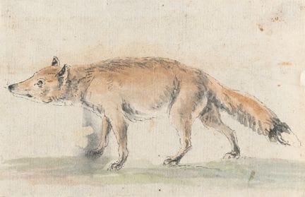 Tedesco, 3 fogli: raffigurazioni di animali.

Acqu