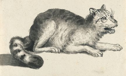 Johann Heinrich Wilhelm Tischbein (1751, Haina/Hes