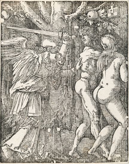 Albrecht Dürer (1471 - Nuremberg - 1528), « L'expu