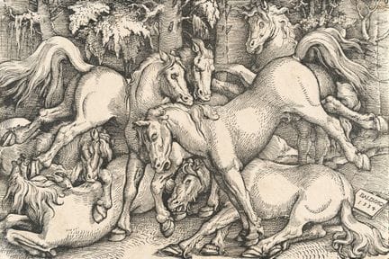 Hans Baldung, dit Grien (1484/85 à Schwäbisch Gmün