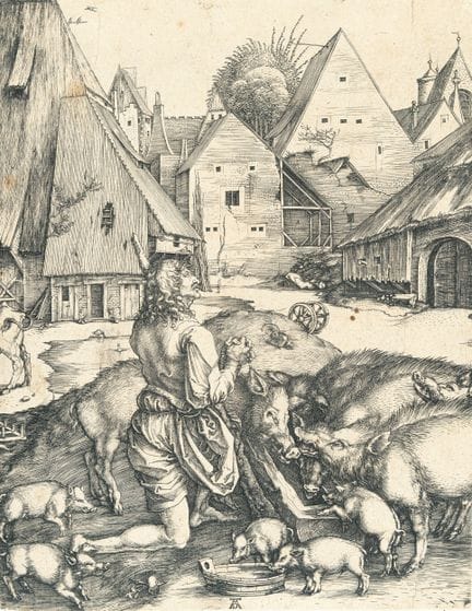 Albrecht Dürer (1471 - Nuremberg - 1528), Le Fils 