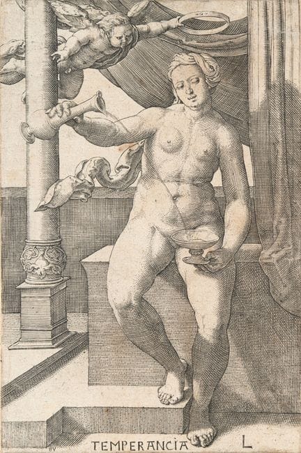 Lucas van Leyden (1494 - Leyde - 1533), Série comp