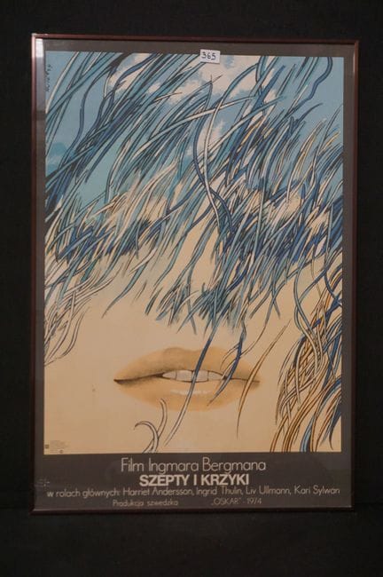 Original Polish movie poster—from 1974—for the fil