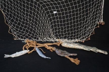 EDITH MADOU (1964 -  ) - "fish mix" - consisting o