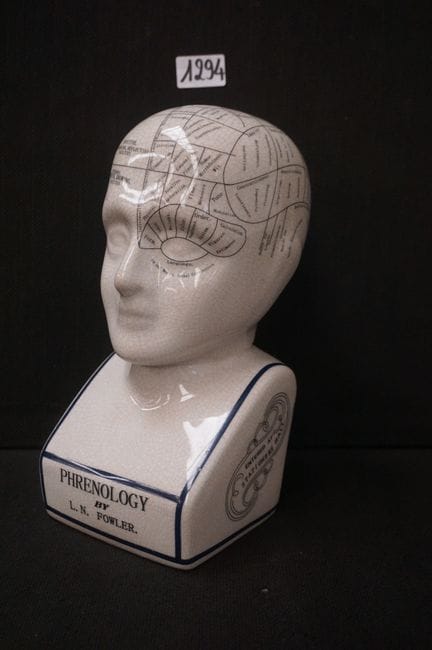 Bust with a crackled finish - "PHRENOLOGY BY L.N. 