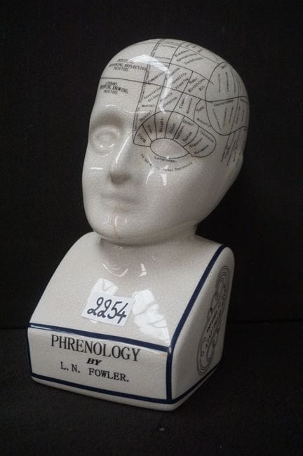 busto con effetto craquelé - "PHRENOLOGY BY L.N. F