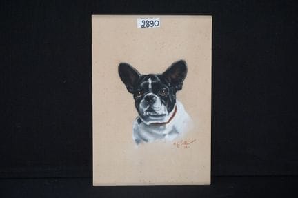 E. SELLI - « Bouledogue français » - pastel - sign
