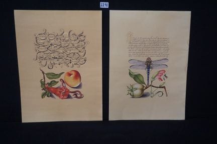 2 litografie calligrafiche - temi scientifici - 55