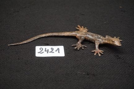 PIERRE CHENET - « lézard » - sculpture en bronze -