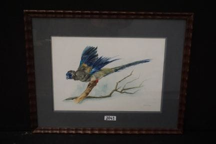 L. MOUCHERON - « perroquet » - aquarelle - signée 