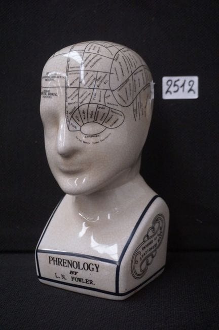 开裂釉胸像——“PHRENOLOGY BY L.N. FOWLER”——高：23 厘米