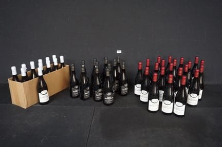 CHATEAU ROCHECOLOMBE - 45瓶葡萄酒 - 12瓶白葡萄酒（2006年）和33瓶