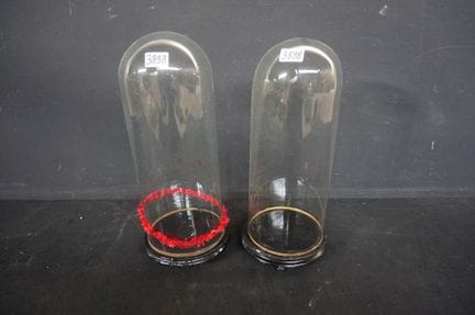 2 glass domes - H: 48 cm