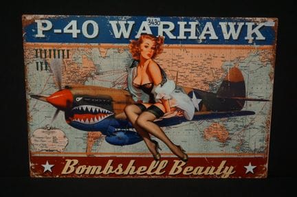 Metall-Werbetafel – Vintage-Stil – „P-40 WARHAWK“ 