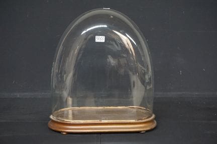 Large glass bell jar with base - H: 56 cm  width: 