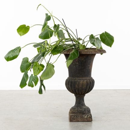 Un grande vaso da giardino in ghisa, detto anche “