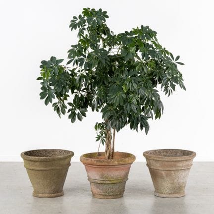 Impruneta, Poggi Ugo, 3 vasi da giardino o fiorier