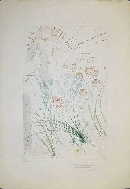 Salvador Dalí, 2 incisioni a colori firmate con po