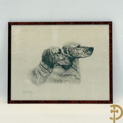 DANCHIN, Leon, litografía firmada «Setter irlandes