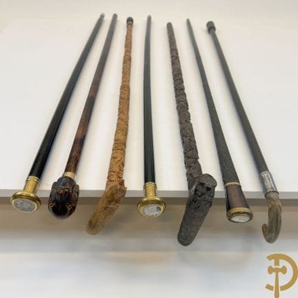 Seven walking sticks, including two with coins, a 