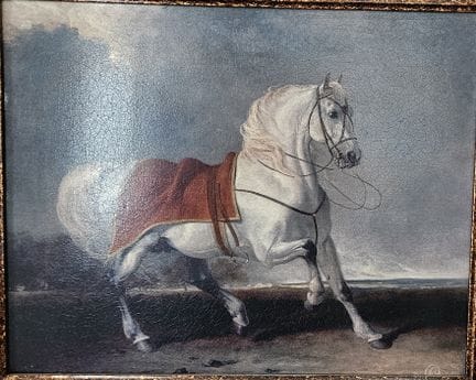 Nach Abraham COOPER
Graues Pferd, das sich vor ein
