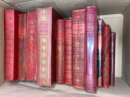 Lote de libros infantiles, cajas de cartón de edit