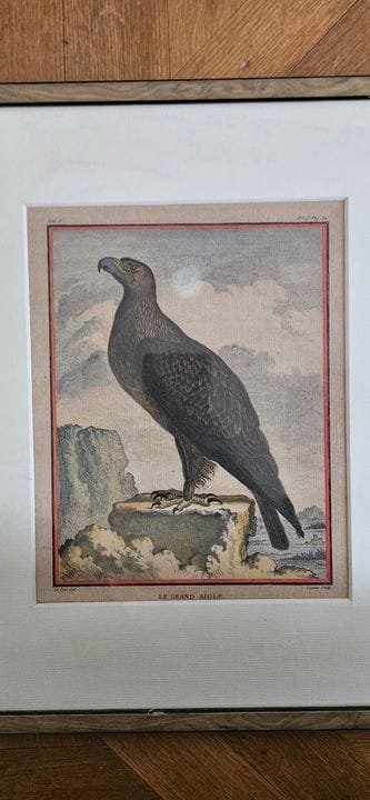 Jacques Eustache de SEVE, nach
„Der große Adler“
M