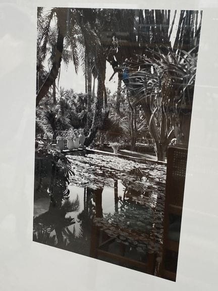 I giardini di Villa Majorelle
Serie di tre fotogra