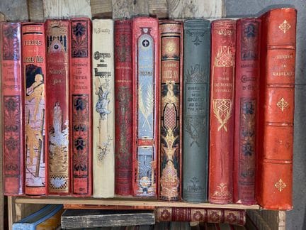 Assortment of award-winning books, adventure books