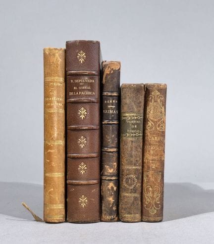 LITERATURA ESPAÑOLA. POESÍA. Siglos XIX y  XX. AMÉ