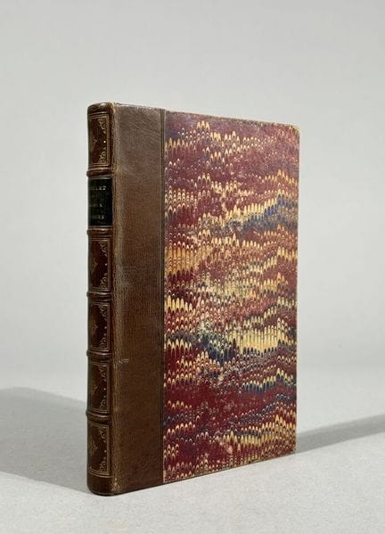 ROMAN XIXe.. PASSIONS  
AMOUREUSES. ÉTHIQUE ET POL