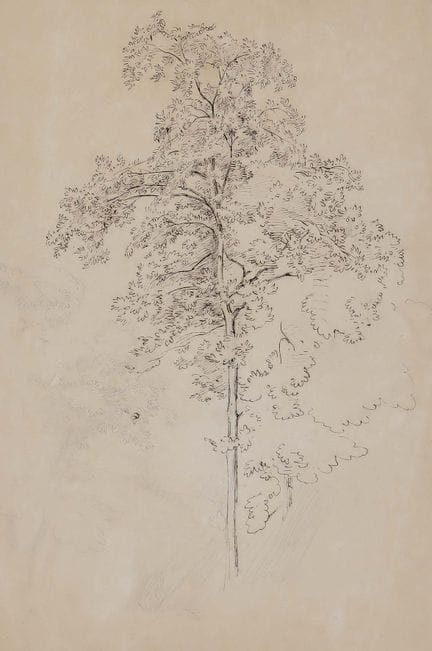 BERNHARD FRIES_x001D_ Heidelberg 1820 - 1879 Munic