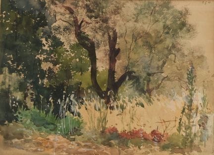 Gustave-Adolphe MOSSA (Niza, 1883-1971).
Sotobosqu