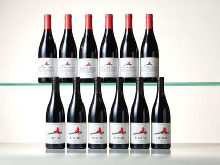 Set di 12 bottiglie composto da: 6 bottiglie BIERZ