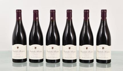 CHAMBOLLE-MUSIGNY 2010, Domaine  Hudelot-Baillet