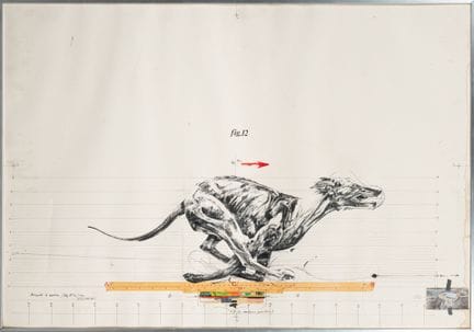 Vladimir VELICKOVIC (1935-2019)
Animals in motion 