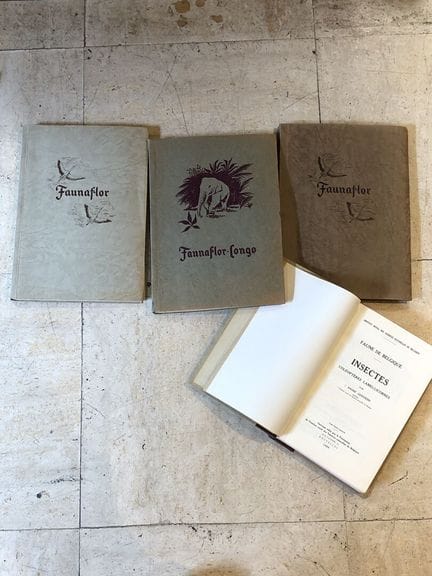 LIVRES SCIENCES
Lot comprenant :
- Faunaflor, Au r