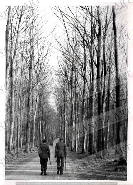 STEINSEL.  Une photo du GRUNEWALD, avec tampon Pho