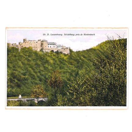 WILTZ. 1 carte postale colorisée , Schuttburg près