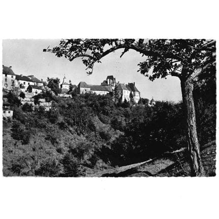WILTZ. Une carte photo du Château de Wiltz en 1950