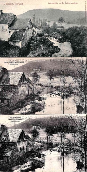MULLERTHAL . 1. Vogelsmühle von der Brücke gesehen